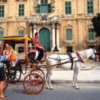 Paard en wagen